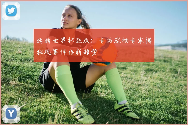 狗狗世界杯狂欢：专访宠物专家揭秘观赛伴侣新趋势