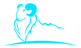 德州天元集團(tuán)