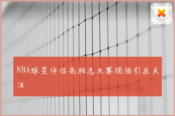 NBA球星伴侣亮相总决赛现场引发关注