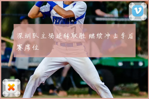 深圳队主场逆转取胜 继续冲击季后赛席位