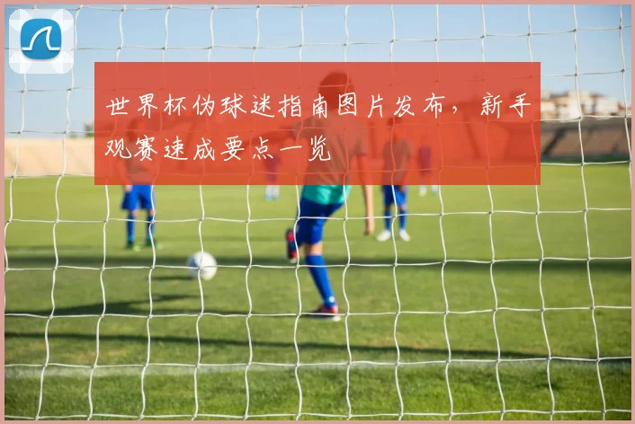 世界杯伪球迷指南图片发布,新手观赛速成要点一览