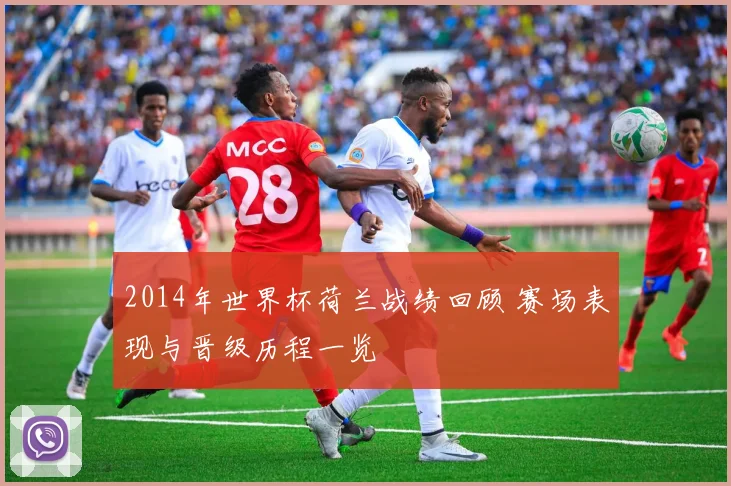 2014年世界杯荷兰战绩回顾 赛场表现与晋级历程一览