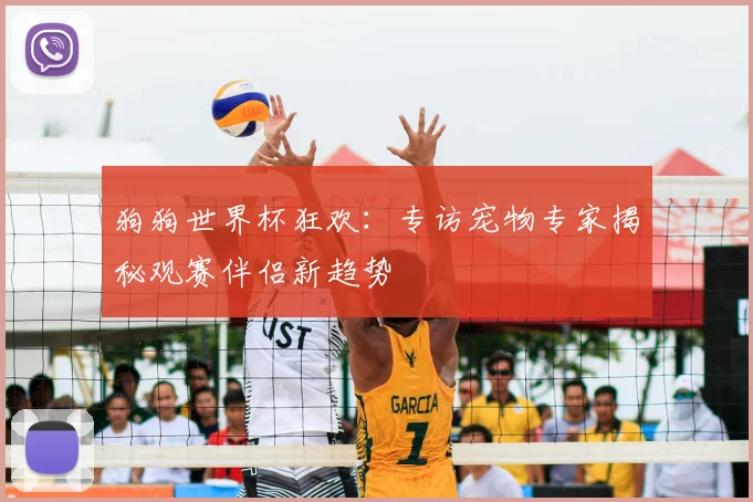 狗狗世界杯狂欢:专访宠物专家揭秘观赛伴侣新趋势