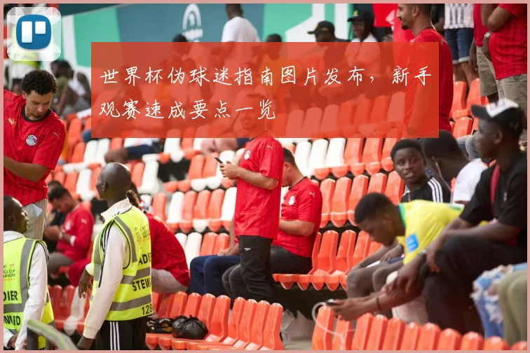 世界杯伪球迷指南图片发布,新手观赛速成要点一览