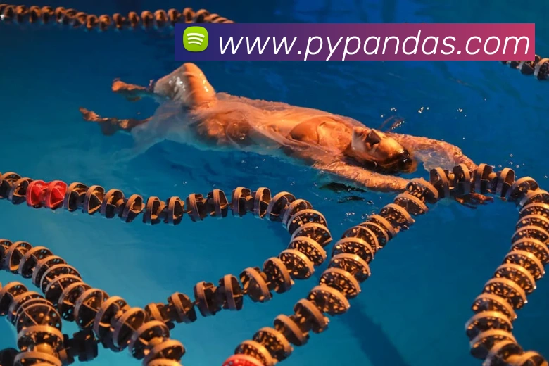 世界杯平台官网登录APP 高清赛事图